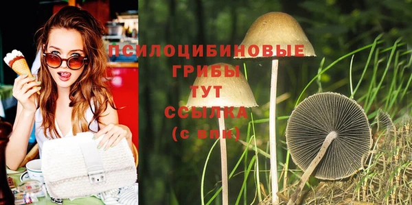 прущие крисы Коряжма
