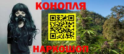 стаф Бузулук