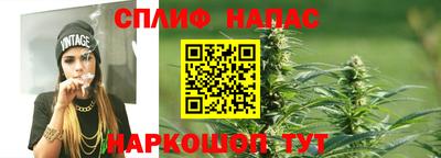 стаф Бузулук