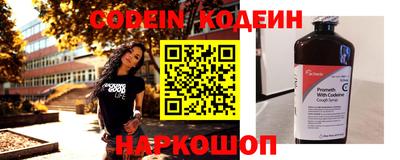 крисы Абакан