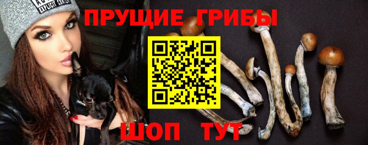 Псилоцибиновые грибы прущие грибы  Галлюциногенные грибы Cubensis  купить наркотик  Рыбинск 