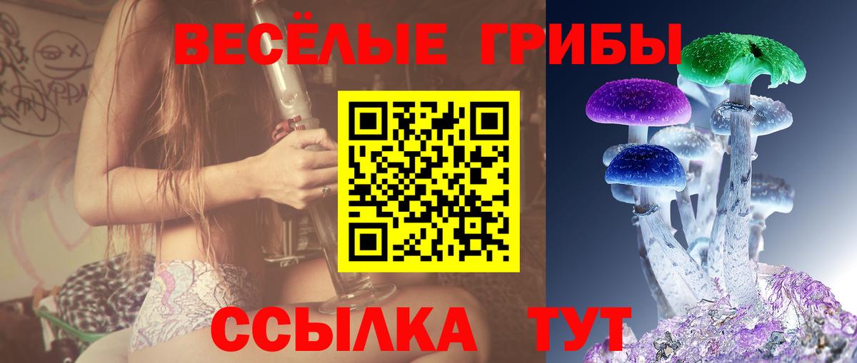 Галлюциногенные грибы прущие грибы Рыбинск
